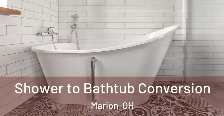 inner Bathroom imggen Shower to Bathtub Conversion Marion-OH
