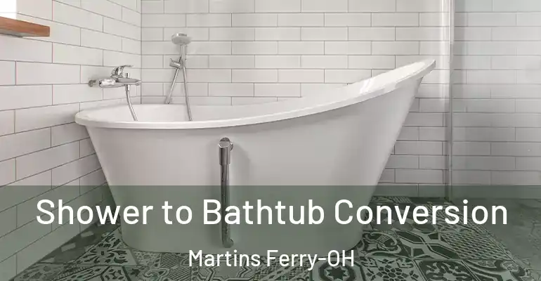 inner Bathroom imggen Shower to Bathtub Conversion Martins Ferry-OH