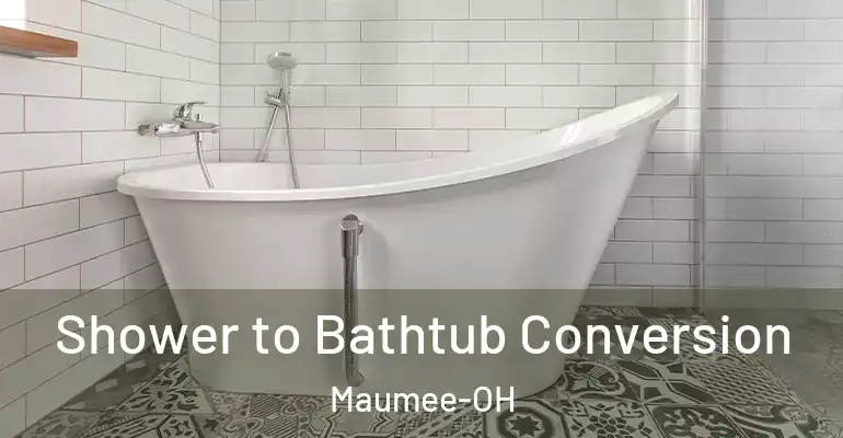 inner Bathroom imggen Shower to Bathtub Conversion Maumee-OH