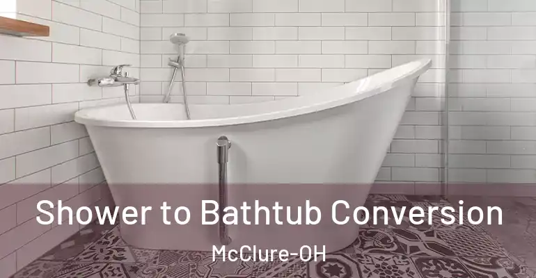 inner Bathroom imggen Shower to Bathtub Conversion McClure-OH