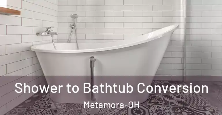 inner Bathroom imggen Shower to Bathtub Conversion Metamora-OH