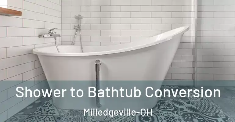 inner Bathroom imggen Shower to Bathtub Conversion Milledgeville-OH
