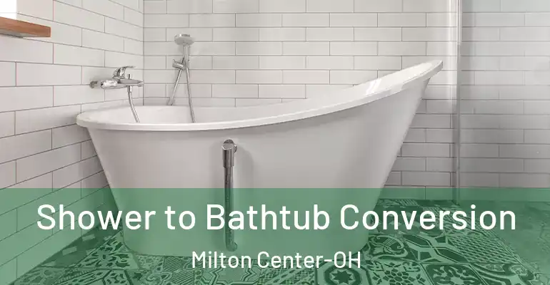 inner Bathroom imggen Shower to Bathtub Conversion Milton Center-OH