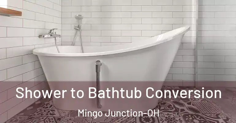 inner Bathroom imggen Shower to Bathtub Conversion Mingo Junction-OH