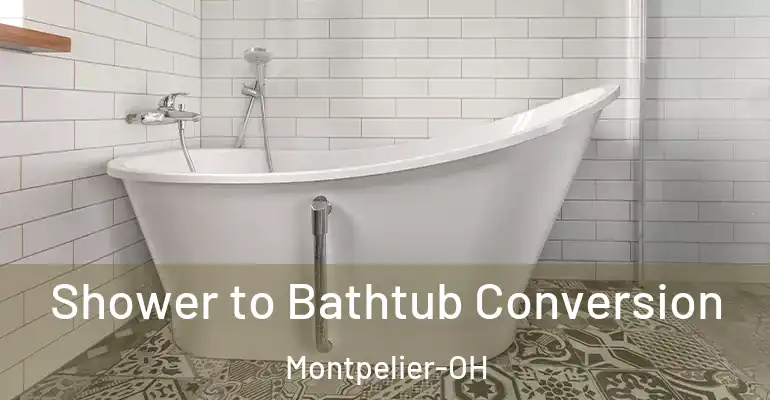 inner Bathroom imggen Shower to Bathtub Conversion Montpelier-OH
