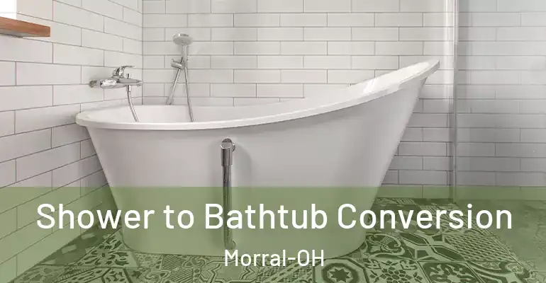 inner Bathroom imggen Shower to Bathtub Conversion Morral-OH