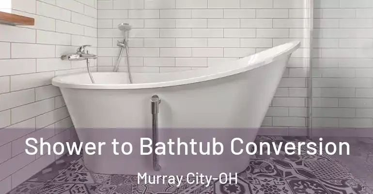 inner Bathroom imggen Shower to Bathtub Conversion Murray City-OH