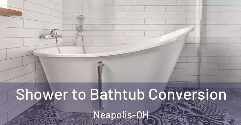inner Bathroom imggen Shower to Bathtub Conversion Neapolis-OH