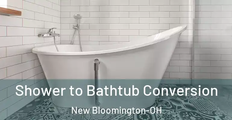 inner Bathroom imggen Shower to Bathtub Conversion New Bloomington-OH