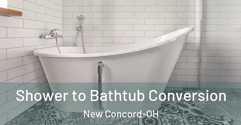 inner Bathroom imggen Shower to Bathtub Conversion New Concord-OH