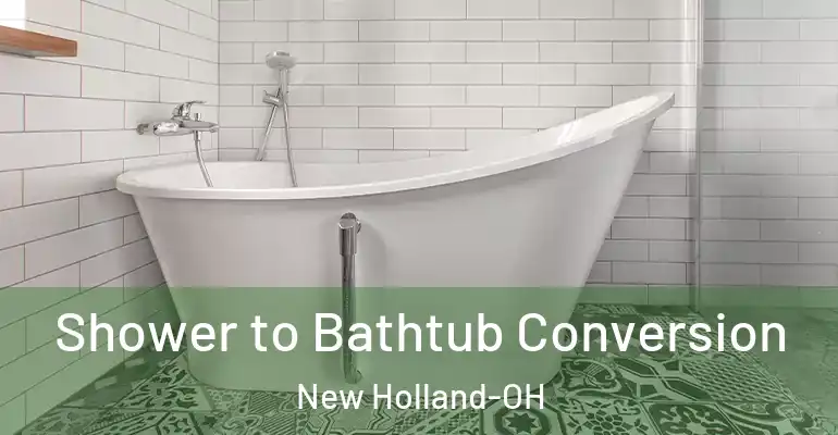 inner Bathroom imggen Shower to Bathtub Conversion New Holland-OH