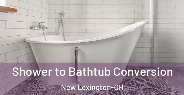 inner Bathroom imggen Shower to Bathtub Conversion New Lexington-OH