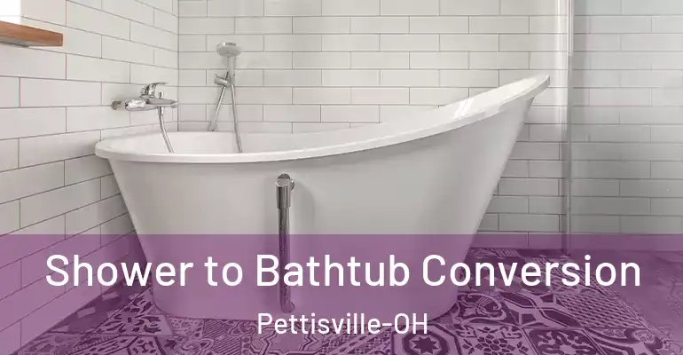 inner Bathroom imggen Shower to Bathtub Conversion Pettisville-OH