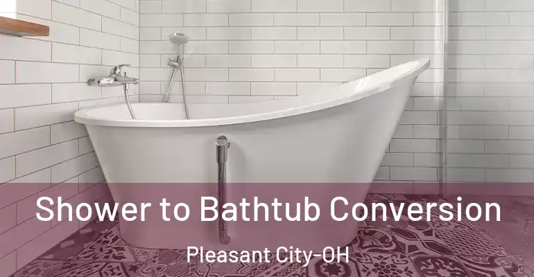 inner Bathroom imggen Shower to Bathtub Conversion Pleasant City-OH