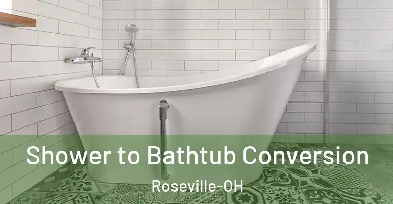inner Bathroom imggen Shower to Bathtub Conversion Roseville-OH