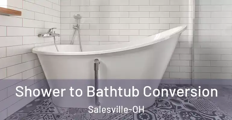 inner Bathroom imggen Shower to Bathtub Conversion Salesville-OH
