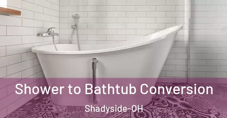 inner Bathroom imggen Shower to Bathtub Conversion Shadyside-OH