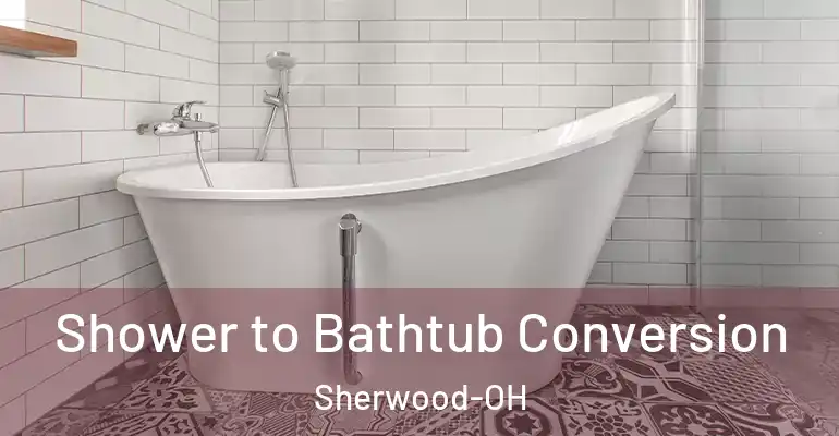 inner Bathroom imggen Shower to Bathtub Conversion Sherwood-OH