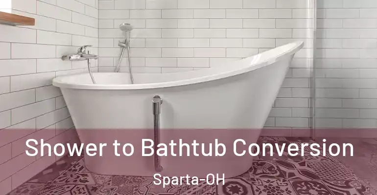 inner Bathroom imggen Shower to Bathtub Conversion Sparta-OH