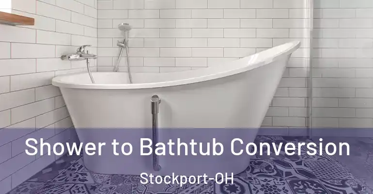 inner Bathroom imggen Shower to Bathtub Conversion Stockport-OH
