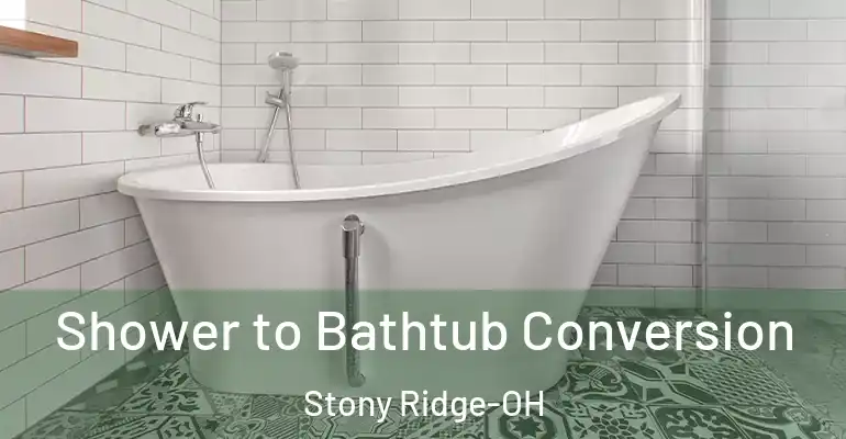 inner Bathroom imggen Shower to Bathtub Conversion Stony Ridge-OH