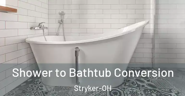 inner Bathroom imggen Shower to Bathtub Conversion Stryker-OH