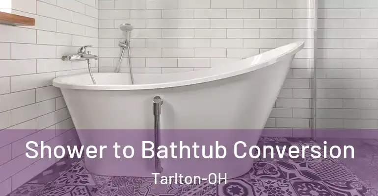 inner Bathroom imggen Shower to Bathtub Conversion Tarlton-OH