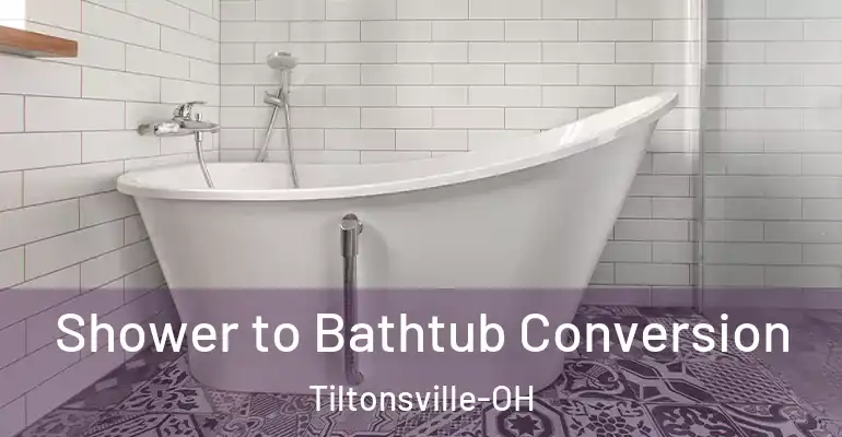 inner Bathroom imggen Shower to Bathtub Conversion Tiltonsville-OH