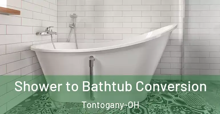 inner Bathroom imggen Shower to Bathtub Conversion Tontogany-OH
