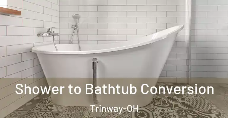 inner Bathroom imggen Shower to Bathtub Conversion Trinway-OH