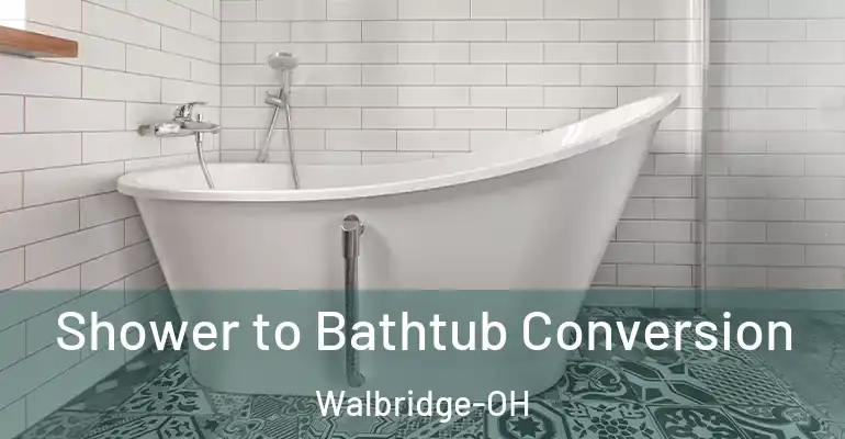 inner Bathroom imggen Shower to Bathtub Conversion Walbridge-OH