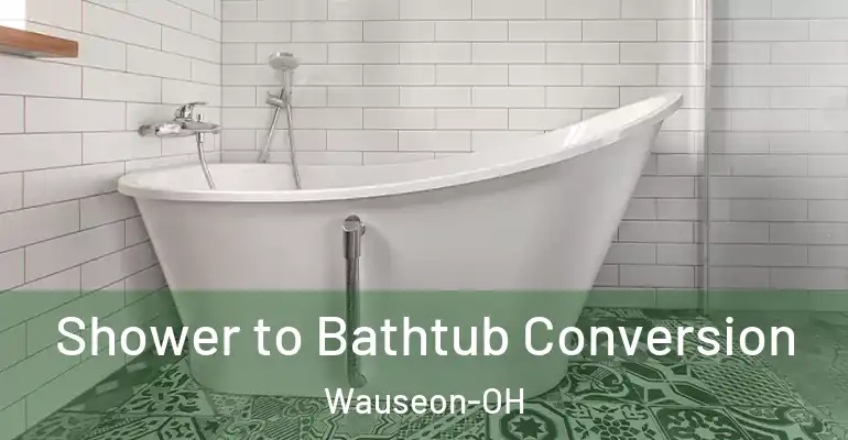 inner Bathroom imggen Shower to Bathtub Conversion Wauseon-OH