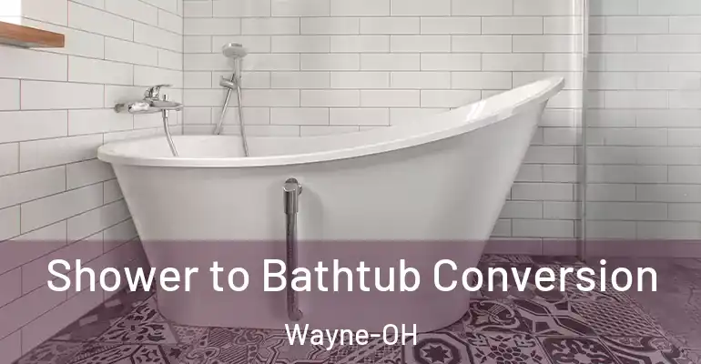 inner Bathroom imggen Shower to Bathtub Conversion Wayne-OH