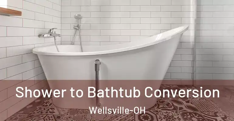 inner Bathroom imggen Shower to Bathtub Conversion Wellsville-OH