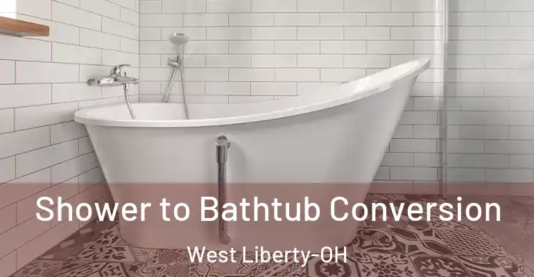 inner Bathroom imggen Shower to Bathtub Conversion West Liberty-OH