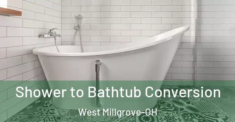 inner Bathroom imggen Shower to Bathtub Conversion West Millgrove-OH