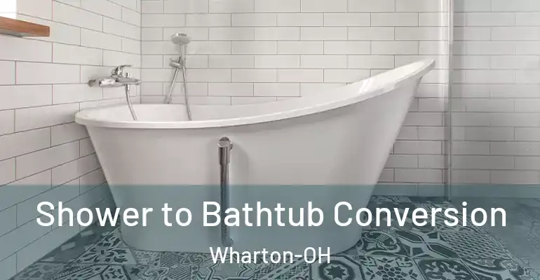 inner Bathroom imggen Shower to Bathtub Conversion Wharton-OH
