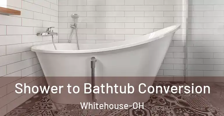 inner Bathroom imggen Shower to Bathtub Conversion Whitehouse-OH