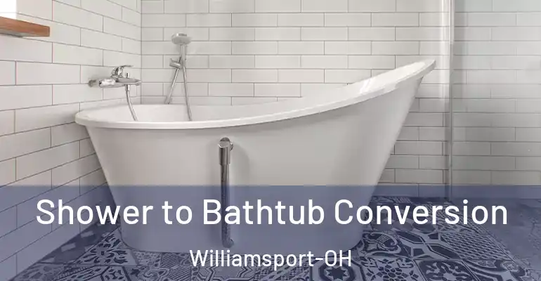 inner Bathroom imggen Shower to Bathtub Conversion Williamsport-OH