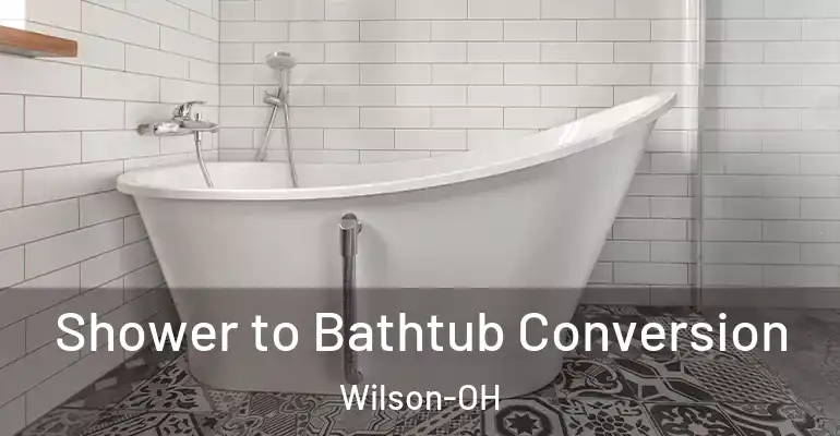 inner Bathroom imggen Shower to Bathtub Conversion Wilson-OH