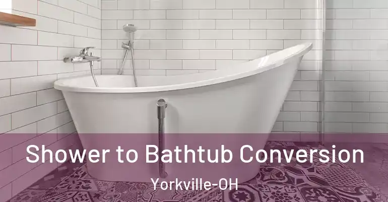 inner Bathroom imggen Shower to Bathtub Conversion Yorkville-OH