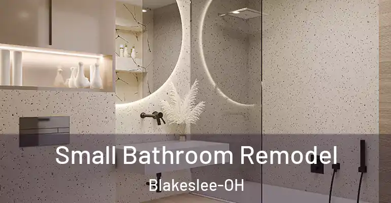 inner Bathroom imggen Small Bathroom Remodel Blakeslee-OH