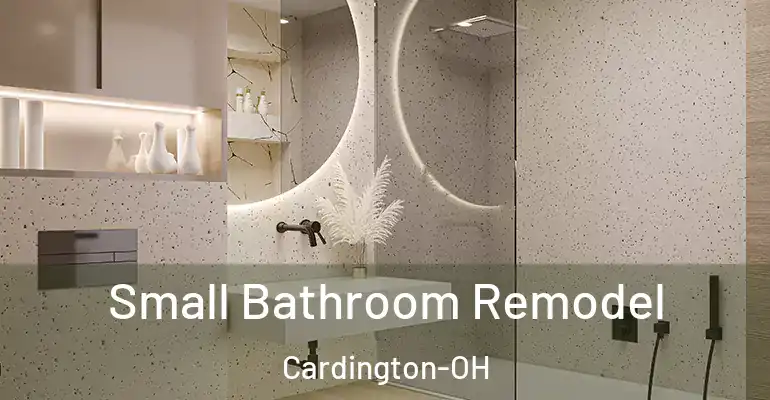 inner Bathroom imggen Small Bathroom Remodel Cardington-OH