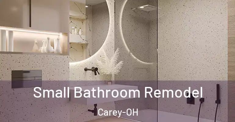inner Bathroom imggen Small Bathroom Remodel Carey-OH