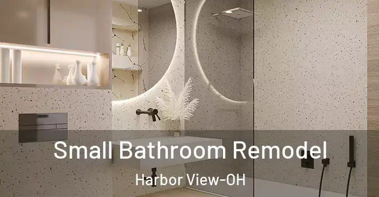 inner Bathroom imggen Small Bathroom Remodel Harbor View-OH