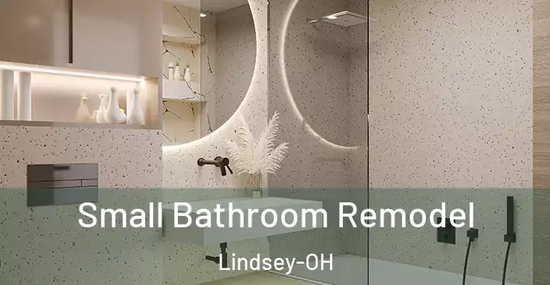 inner Bathroom imggen Small Bathroom Remodel Lindsey-OH