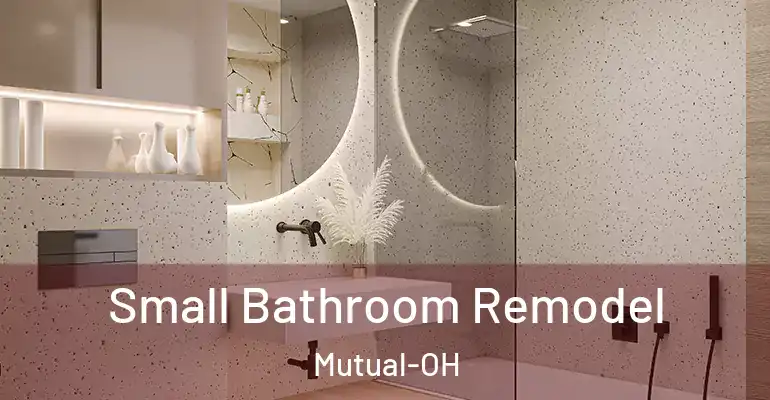inner Bathroom imggen Small Bathroom Remodel Mutual-OH