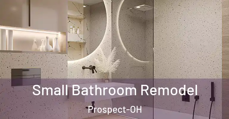 inner Bathroom imggen Small Bathroom Remodel Prospect-OH