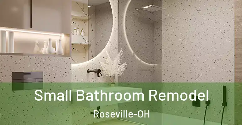 inner Bathroom imggen Small Bathroom Remodel Roseville-OH