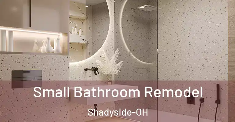 inner Bathroom imggen Small Bathroom Remodel Shadyside-OH